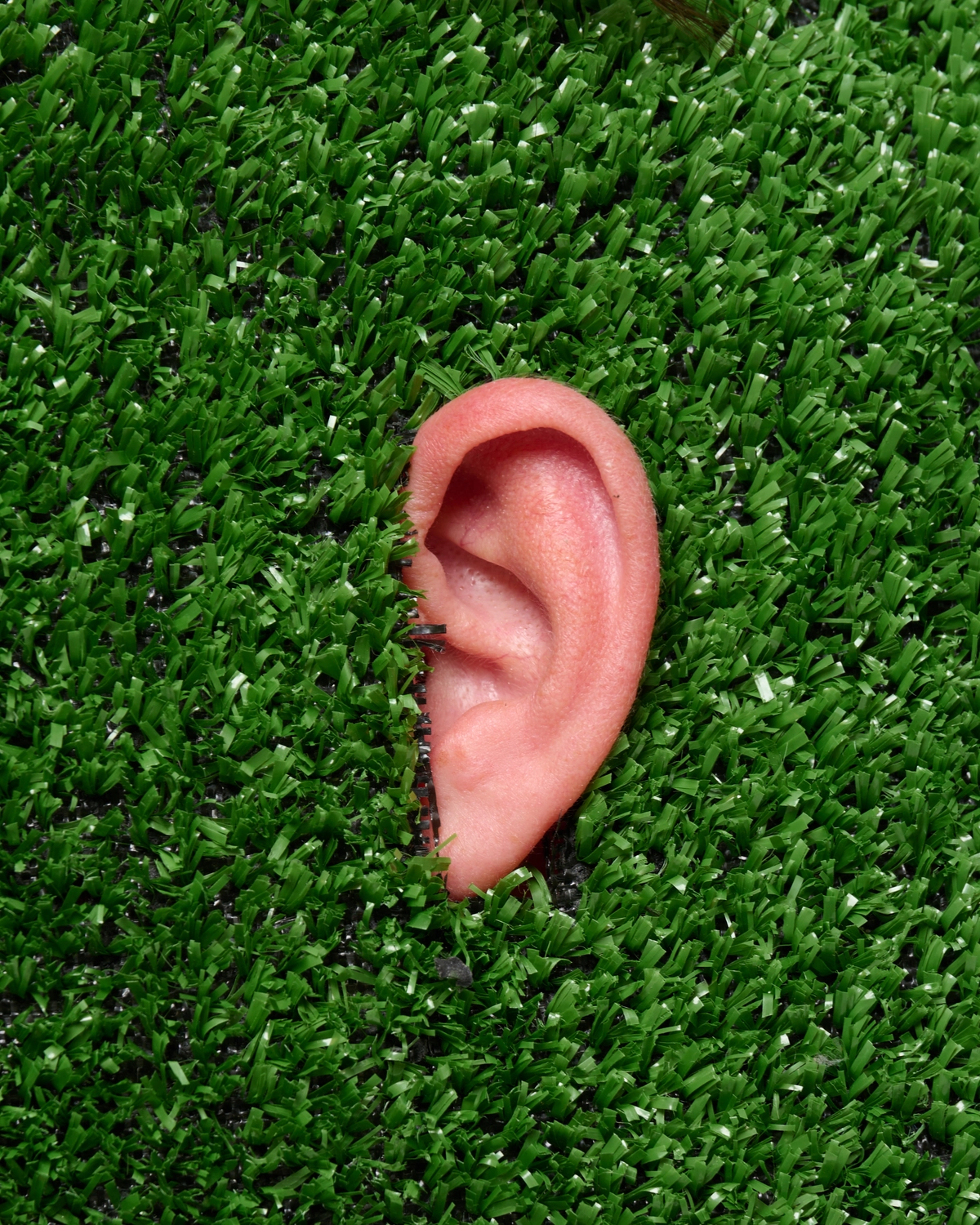 Photo éditorial Essay par Eddy Soilihi - Image 2