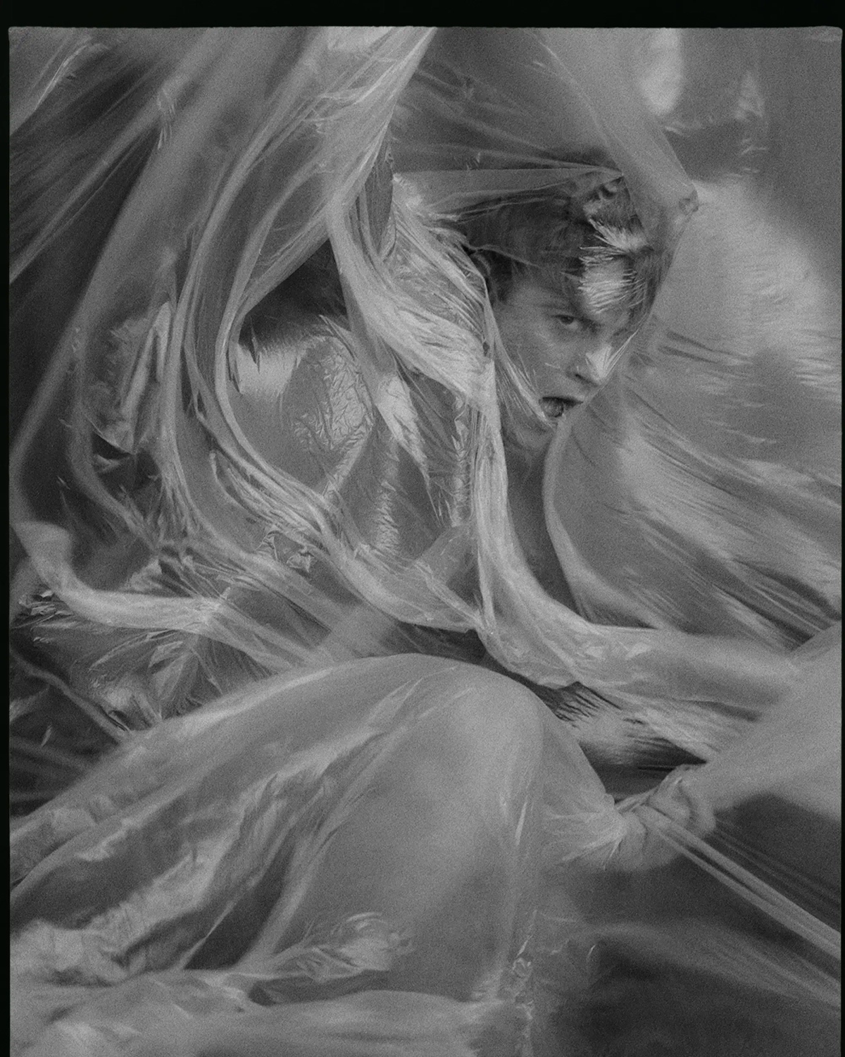 Photo éditorial The Awakening of Nature par Eddy Soilihi - Image 2