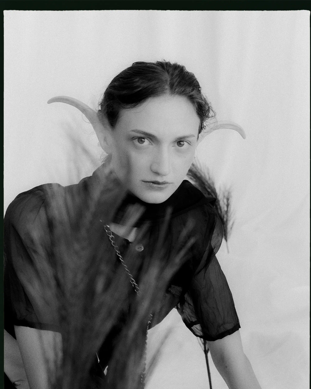 Photo éditorial The Awakening of Nature par Eddy Soilihi - Image 5