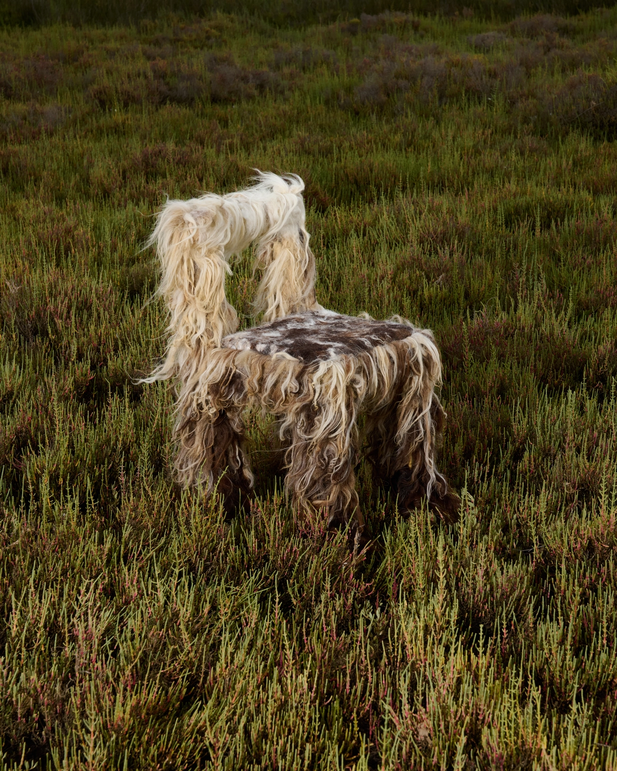 Photo éditorial Toisondrift par Eddy Soilihi - Image 8